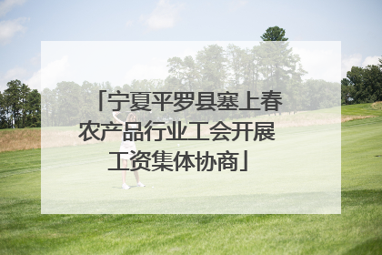 宁夏平罗县塞上春农产品行业工会开展工资集体协商