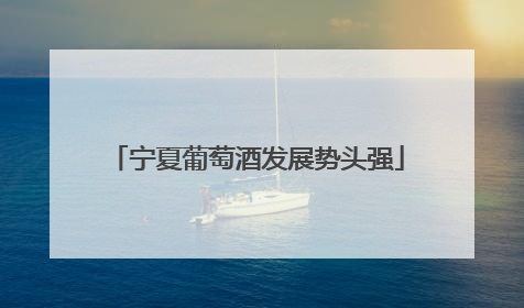 宁夏葡萄酒发展势头强