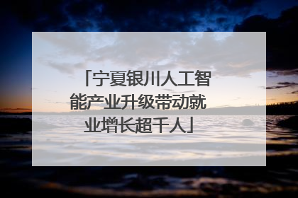 宁夏银川人工智能产业升级带动就业增长超千人