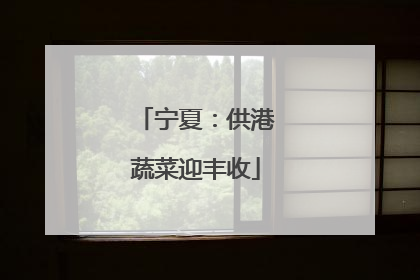 宁夏：供港蔬菜迎丰收