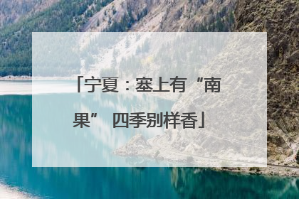 宁夏：塞上有“南果” 四季别样香