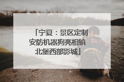 宁夏：景区定制安防机器狗亮相镇北堡西部影城
