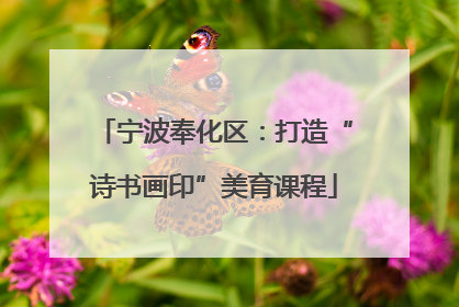 宁波奉化区：打造“诗书画印”美育课程