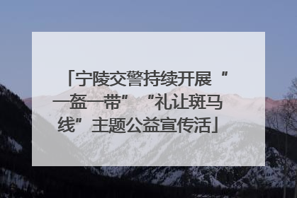 宁陵交警持续开展“一盔一带”“礼让斑马线”主题公益宣传活