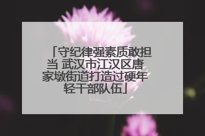 守纪律强素质敢担当 武汉市江汉区唐家墩街道打造过硬年轻干部队伍
