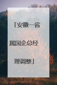 安徽一省属国企总经理调整
