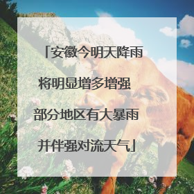 安徽今明天降雨将明显增多增强 部分地区有大暴雨并伴强对流天气