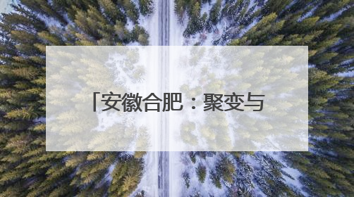 安徽合肥：聚变与氢氨能源工程应用联合实验室成立