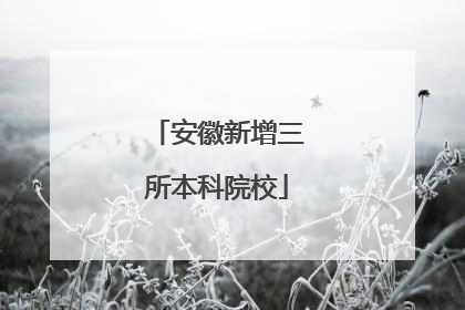 安徽新增三所本科院校