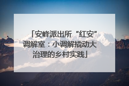 安峰派出所“红安”调解室：小调解撬动大治理的乡村实践