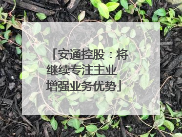 安通控股：将继续专注主业 增强业务优势