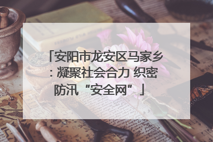 安阳市龙安区马家乡：凝聚社会合力 织密防汛“安全网”