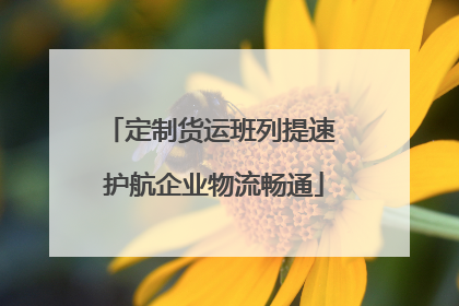定制货运班列提速 护航企业物流畅通