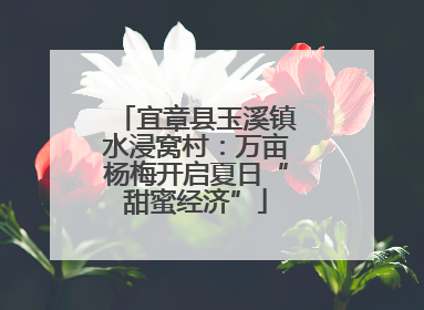 宜章县玉溪镇水浸窝村：万亩杨梅开启夏日“甜蜜经济”