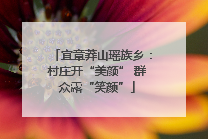 宜章莽山瑶族乡：村庄开“美颜” 群众露“笑颜”