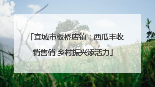 宜城市板桥店镇：西瓜丰收销售俏 乡村振兴添活力