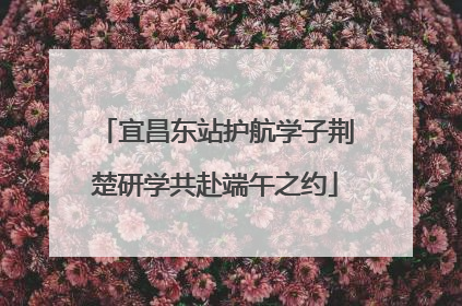 宜昌东站护航学子荆楚研学共赴端午之约