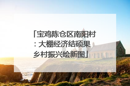 宝鸡陈仓区南阳村：大棚经济结硕果 乡村振兴绘新图