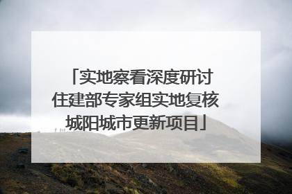 实地察看深度研讨 住建部专家组实地复核城阳城市更新项目