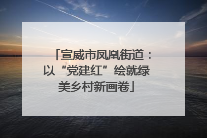 宣威市凤凰街道：以“党建红”绘就绿美乡村新画卷