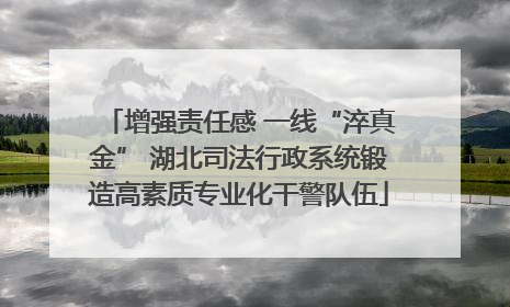 增强责任感 一线“淬真金” 湖北司法行政系统锻造高素质专业化干警队伍