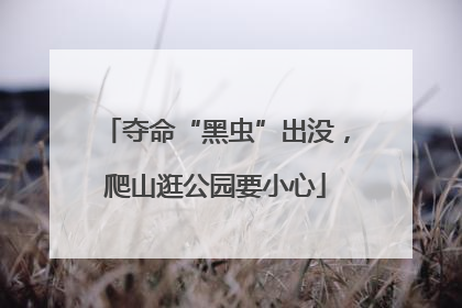 夺命“黑虫”出没，爬山逛公园要小心