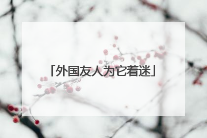 外国友人为它着迷
