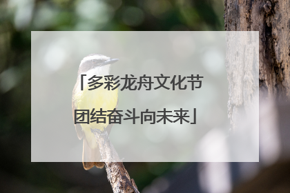 多彩龙舟文化节 团结奋斗向未来