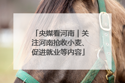央媒看河南｜关注河南抢收小麦、促进就业等内容