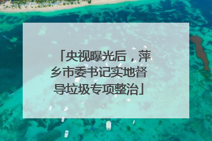 央视曝光后，萍乡市委书记实地督导垃圾专项整治