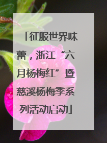 征服世界味蕾，浙江“六月杨梅红”暨慈溪杨梅季系列活动启动