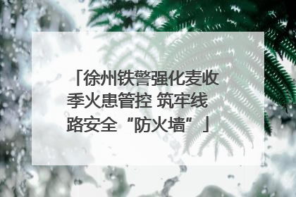 徐州铁警强化麦收季火患管控 筑牢线路安全“防火墙”