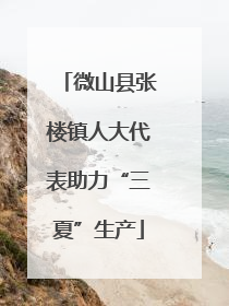 微山县张楼镇人大代表助力“三夏”生产