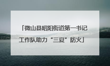 微山县昭阳街道第一书记工作队助力“三夏”防火