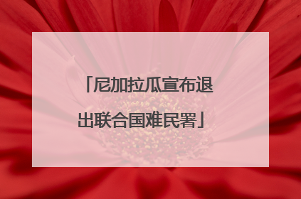 尼加拉瓜宣布退出联合国难民署