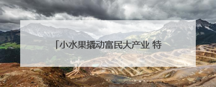 小水果撬动富民大产业 特色农业绘就乡村振兴新画卷