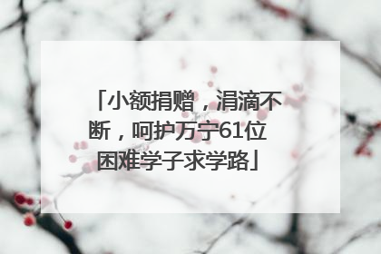 小额捐赠，涓滴不断，呵护万宁61位困难学子求学路