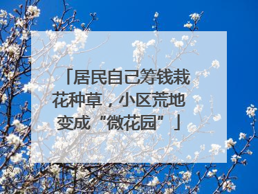 居民自己筹钱栽花种草，小区荒地变成“微花园”
