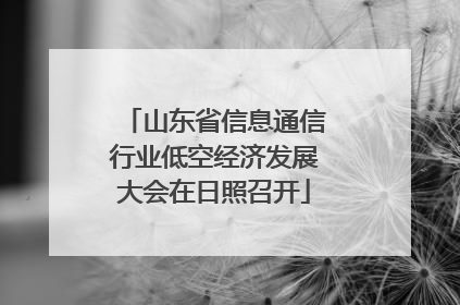 山东省信息通信行业低空经济发展大会在日照召开
