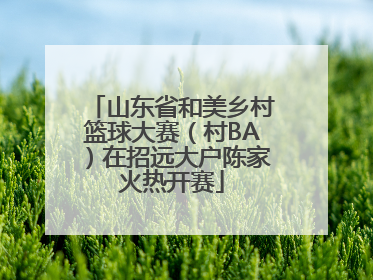 山东省和美乡村篮球大赛（村BA）在招远大户陈家火热开赛