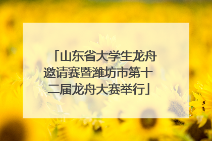 山东省大学生龙舟邀请赛暨潍坊市第十二届龙舟大赛举行