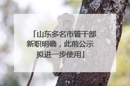 山东多名市管干部新职明确，此前公示拟进一步使用