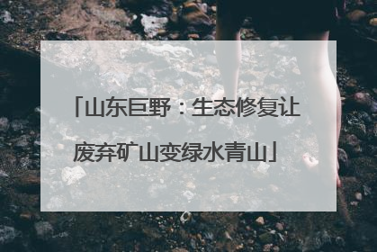 山东巨野：生态修复让废弃矿山变绿水青山