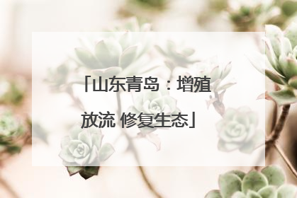 山东青岛：增殖放流 修复生态