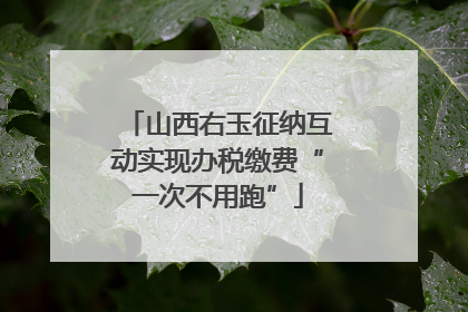 山西右玉征纳互动实现办税缴费“一次不用跑”