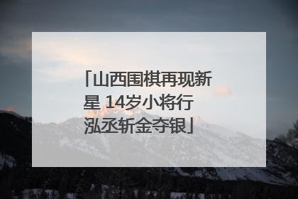 山西围棋再现新星 14岁小将行泓丞斩金夺银