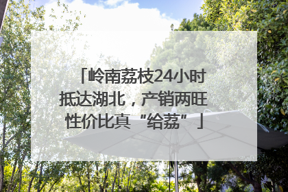 岭南荔枝24小时抵达湖北，产销两旺性价比真“给荔”