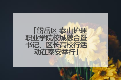 岱岳区 泰山护理职业学院校城融合暨书记、区长高校行活动在泰安举行