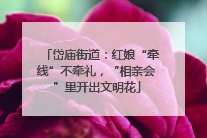 岱庙街道：红娘“牵线”不牵礼，“相亲会”里开出文明花