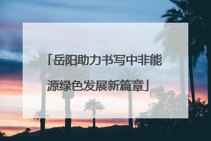 岳阳助力书写中非能源绿色发展新篇章